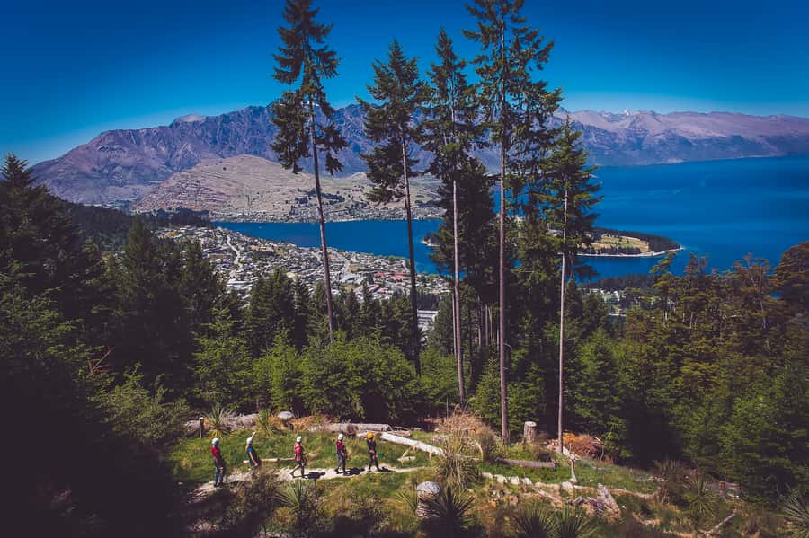 Queenstown: 3-Hour Zipline Adventure with 6-Lines - Safety feels practical rather than theatrical