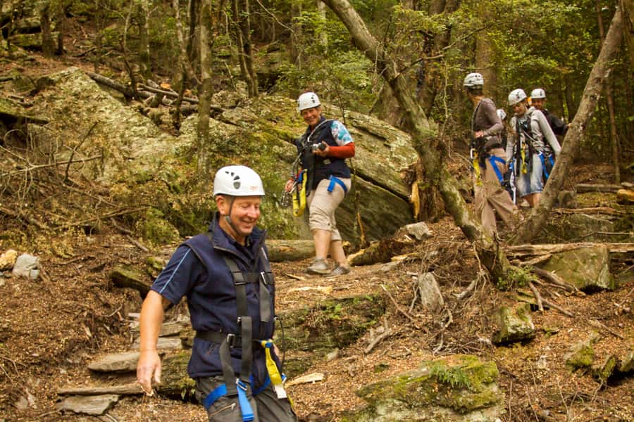 Queenstown: 3-Hour Zipline Adventure with 6-Lines - The first lines ease you into the ride