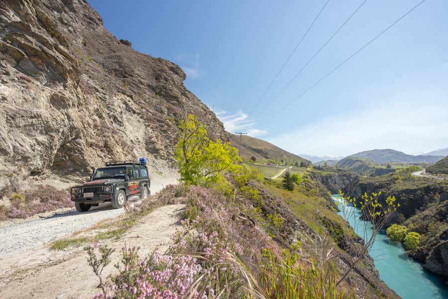 Queenstown: 4WD Lord Of the Rings Tour Half-Day Tour - Queenstown Hill and the view toward Deer Park Heights