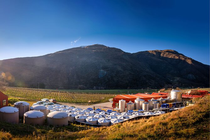 Queenstown Afternoon Wine Tour - Peregrine | Kinross | Amisfield - Amisfield closes the afternoon with stone and scenery