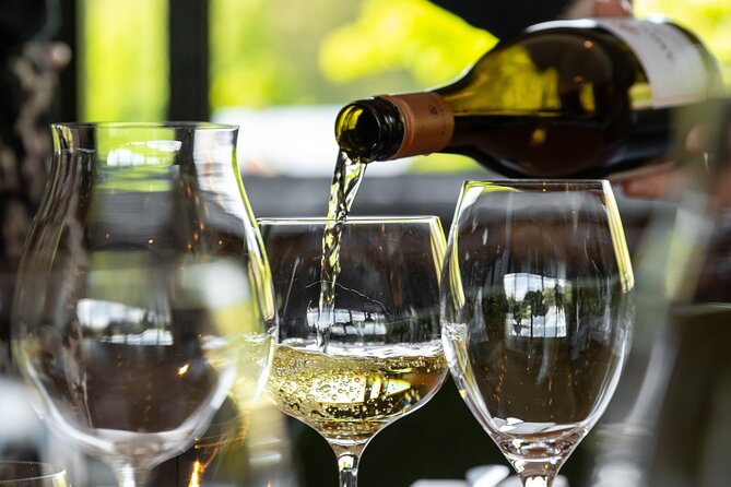 Queenstown Afternoon Wine Tour - Peregrine | Kinross | Amisfield - What the timing and group size mean for you
