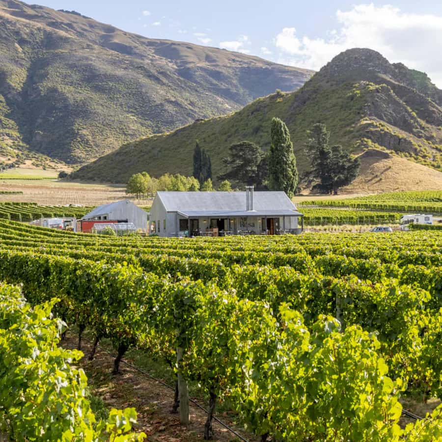 Queenstown, Arrowtown, Gibbston: Flexible Wine Hopper Tours - Gibbston Valley Wines and the underground wine cave