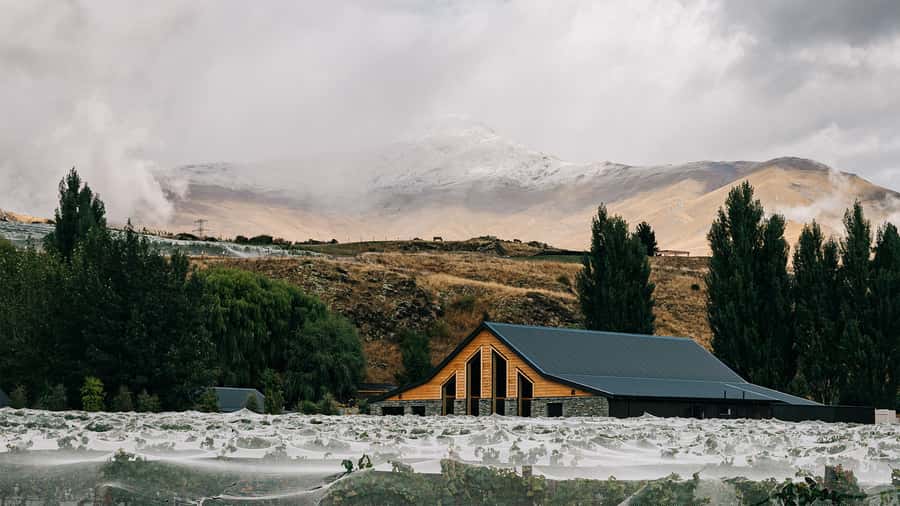 Queenstown: Classic Central Otago Wine Tasting Experience - Five labels, one Central Otago comparison