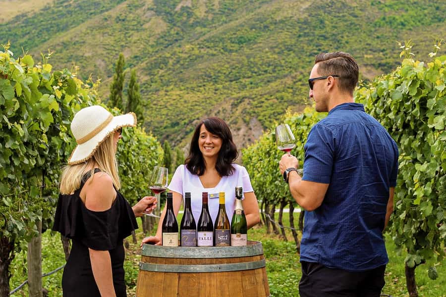 Queenstown: Classic Wine Tour - Key points to know before booking