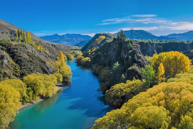 Queenstown Classic Wine Tour: 3 Winery Visits, Cave Tour & Cheese - Who will enjoy this tour most