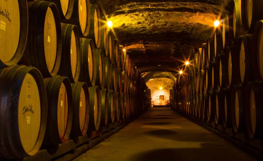 Queenstown: Classic Wine Tour - Three tastings, each with enough time to matter
