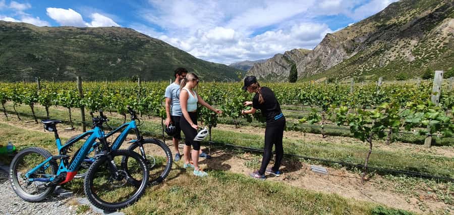 Queenstown: Guided E-Bike Tour with Winery Visits & Tastings - Key points at a glance