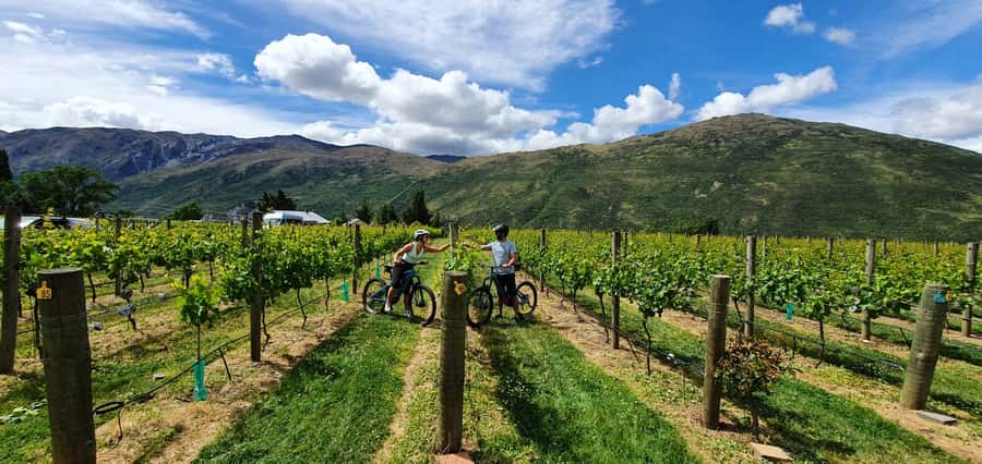 Queenstown: Guided E-Bike Tour with Winery Visits & Tastings - Arrowtown’s gold-mining streets and river trails
