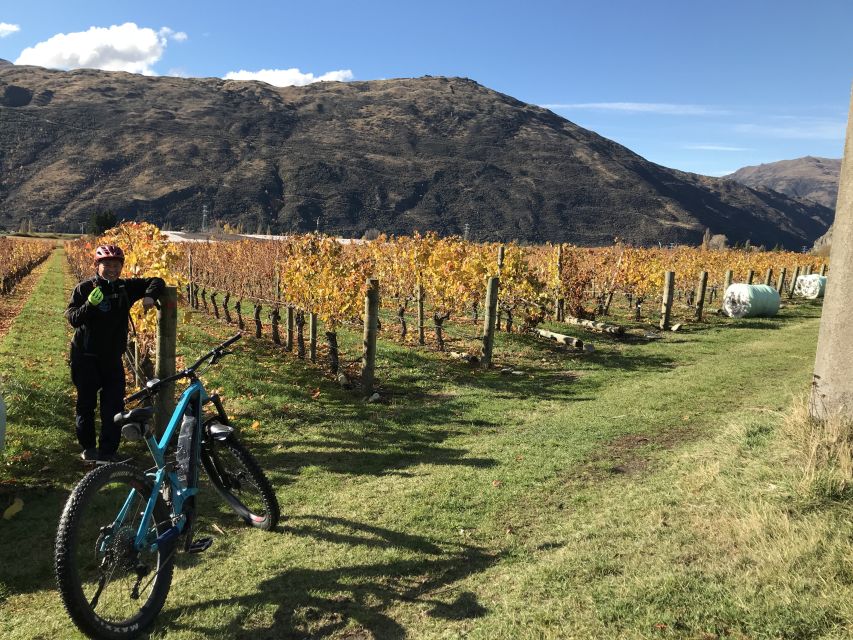 Queenstown: Guided E-Bike Tour with Winery Visits & Tastings - Guides, equipment, and the feel of a small group