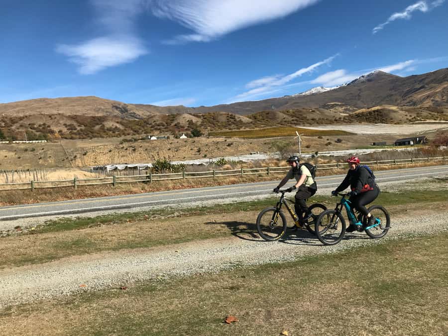 Queenstown: Guided E-Bike Tour with Winery Visits & Tastings - Is $194 a fair price?