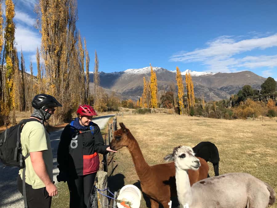 Queenstown: Guided E-Bike Tour with Winery Visits & Tastings - Starting at Hansen Road and heading toward Arrowtown