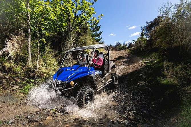 Queenstown Guided Self-Drive Buggy Tour - Starting at 61A Shotover Street