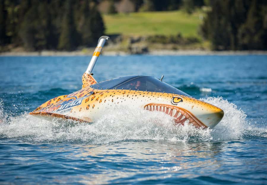 Queenstown: Hydro Attack Shark Ride - The first run: 80 kph across Lake Wakatipu