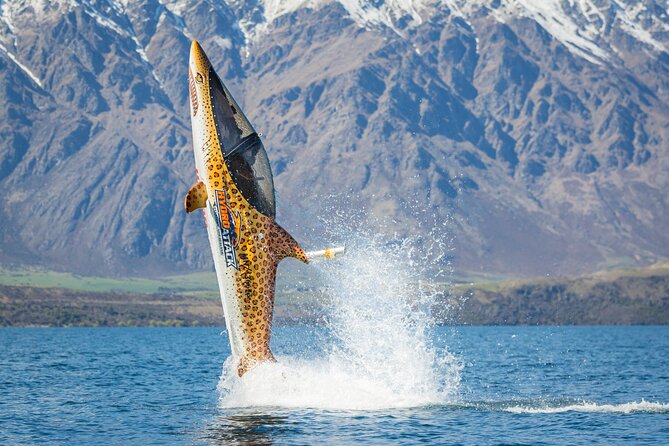 Queenstown Hydro Attack Shark Ride Adventure - Comfort, Height, and the Rough-Ride Question