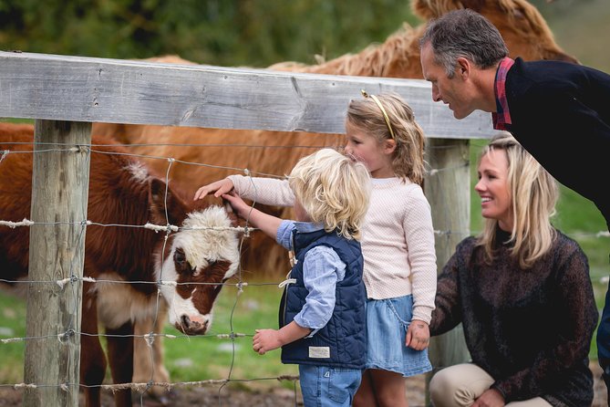 Queenstown Lake Cruise and Walter Peak Farm Adventure - Sheepdogs, shearing, and the farm show