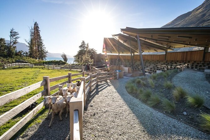 Queenstown Lake Cruise and Walter Peak Farm Adventure - The price and what you get for $83.78