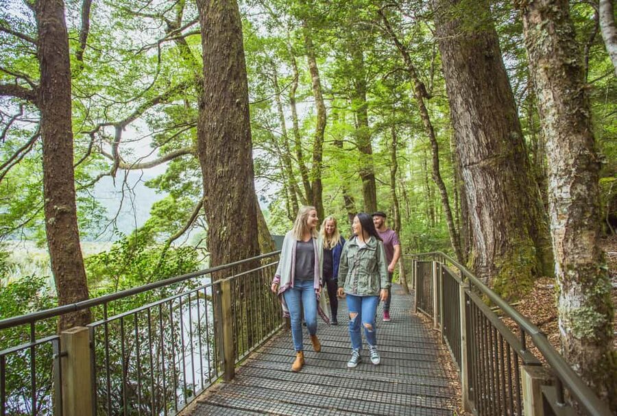 Queenstown: Milford Sound Coach & Cruise Full-Day Trip - Through Fiordland National Park
