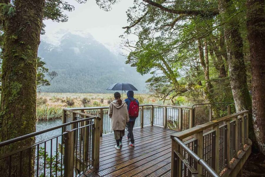 Queenstown: Milford Sound Coach & Cruise Full-Day Trip - Waterfalls, rainforest, and wildlife