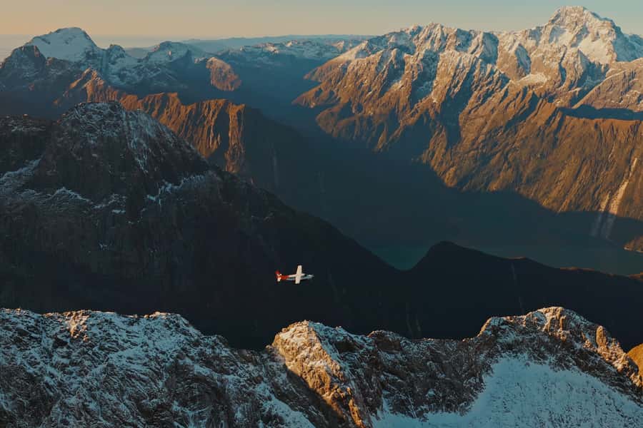 Queenstown: Milford Sound Flight and Cruise - The beech forest walk and the Milford Sound cruise