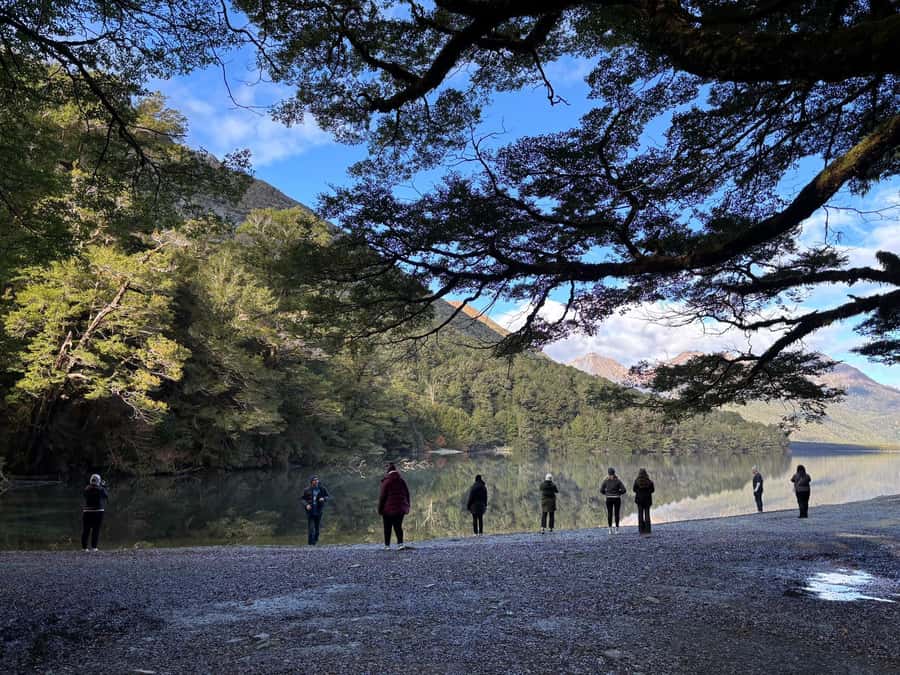 Queenstown: Milford Sound Small-Group Tour w Cruise & Lunch - Milford Sound cruise: the payoff after the long road