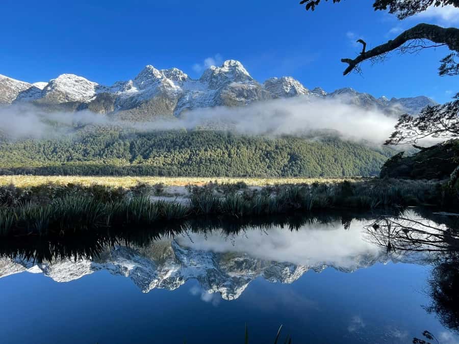 Queenstown: Milford Sound Small-Group Tour w Cruise & Lunch - Homer Tunnel is the gateway to Milford Sound