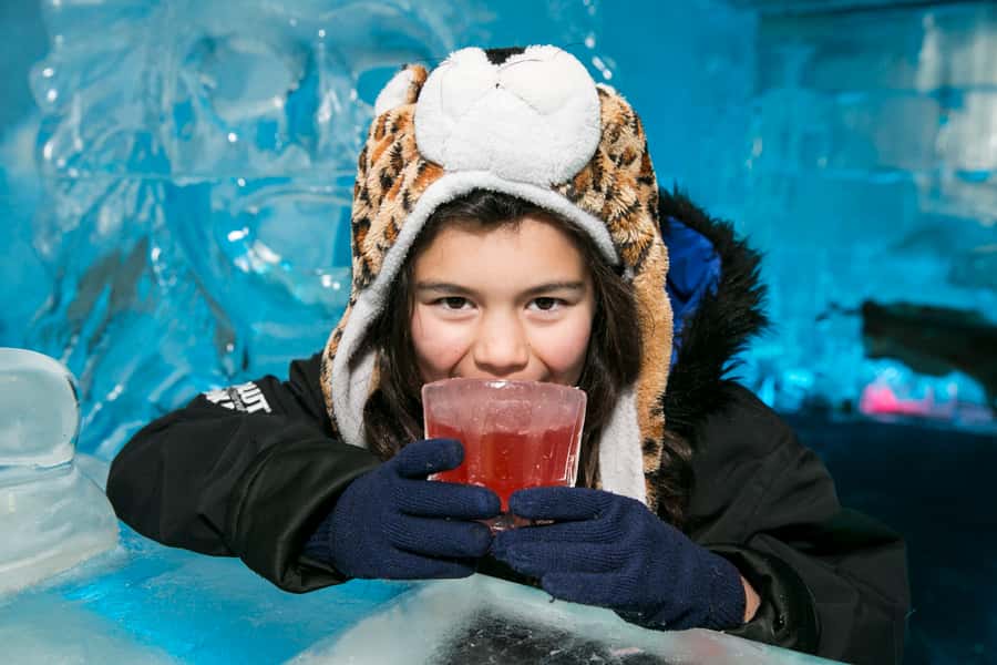 Queenstown: Minus 5 Ice Bar Experience with Drink Options - A room carved from 18 tonnes of ice