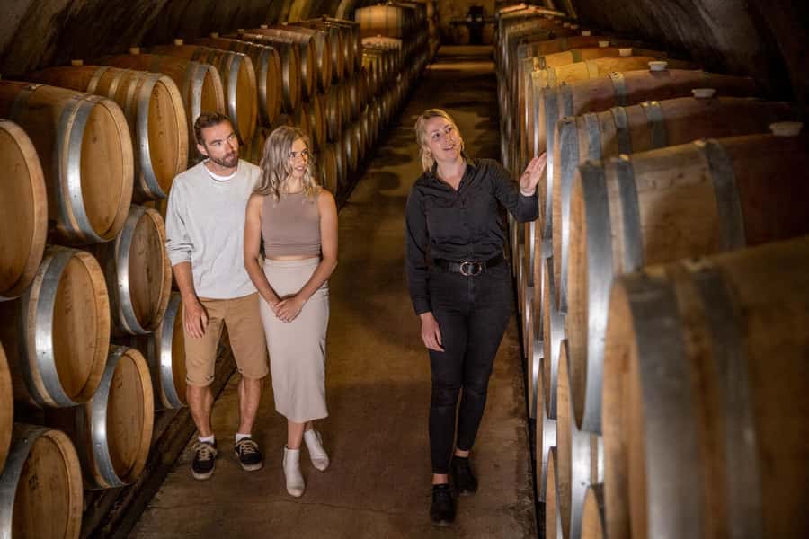 Queenstown: Original Premium Half-Day Gibbston Wine Tour - Lunch at Gibbston, with room to choose