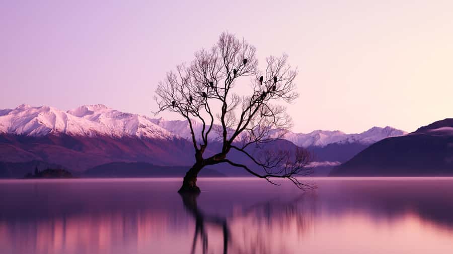 Queenstown: Private Day Trip to Wanaka, Arrowtown & More - Arrowtown, where the day begins with character