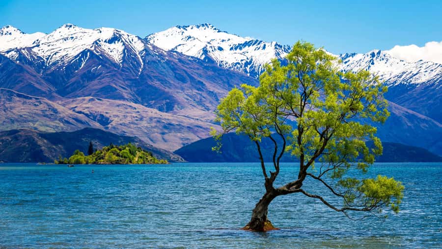 Queenstown: Private Day Trip to Wanaka, Arrowtown & More - Crossing the Crown Range toward Cardrona