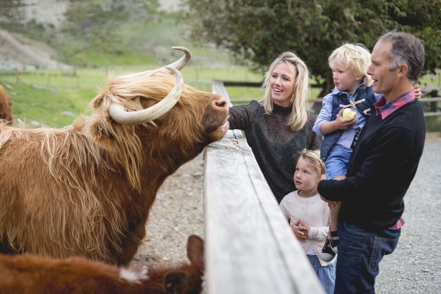 Queenstown: Queenstown Lake Cruise and Walter Peak Farm Tour - Is Walter Peak Farm Tour worth booking?