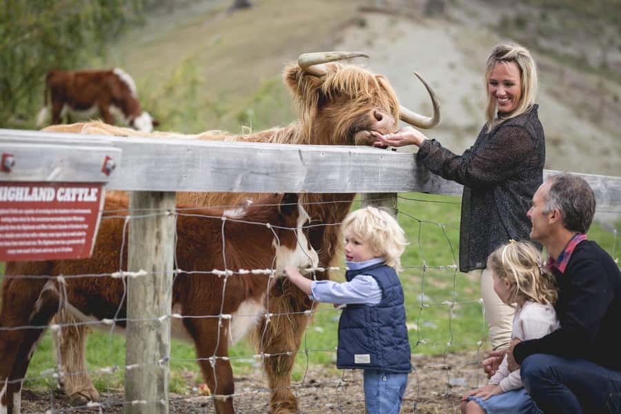 Queenstown: Queenstown Lake Cruise and Walter Peak Farm Tour - Why this Queenstown outing works so well