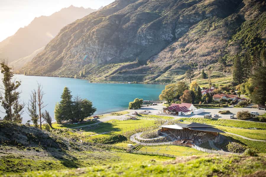 Queenstown: Queenstown Lake Cruise and Walter Peak Farm Tour - Afternoon tea at Walter Peak