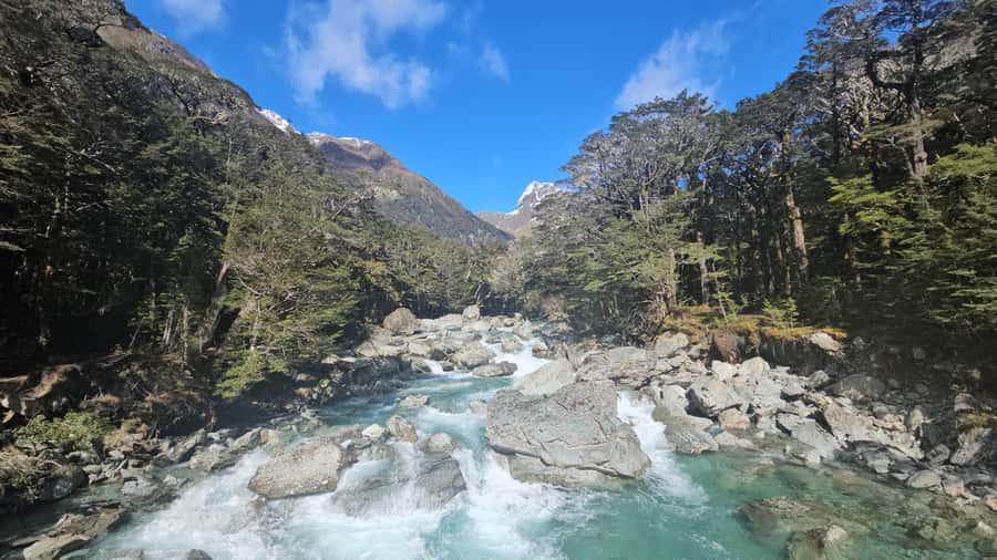 Queenstown: Routeburn Track Guided Full-Day Walk or Half Day - Routeburn Track Guided Walk: Key Points