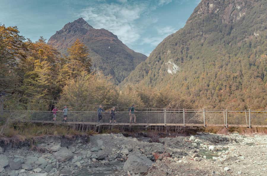 Queenstown: Routeburn Track Guided Full-Day Walk or Half Day - Crossing the Routeburn River Swing Bridge
