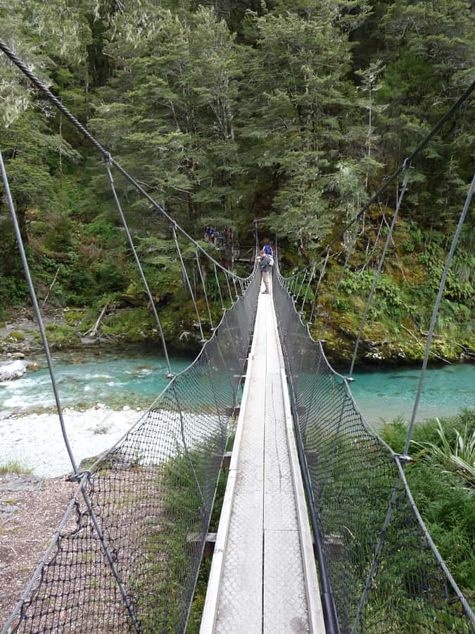 Queenstown: Routeburn Track Guided Full-Day Walk or Half Day - Views Toward Snow-Capped Peaks and Valleys