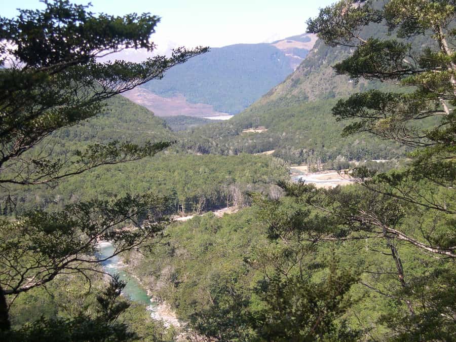 Queenstown: Routeburn Track Guided Full-Day Walk or Half Day - What the Guide Adds to the Walk