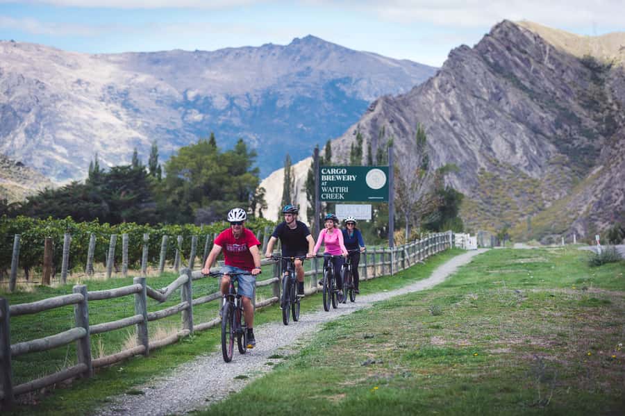 Queenstown: Self-Guided Gibbston Valley Wineries Bike Tour - A Wine Tour With Room to Roam