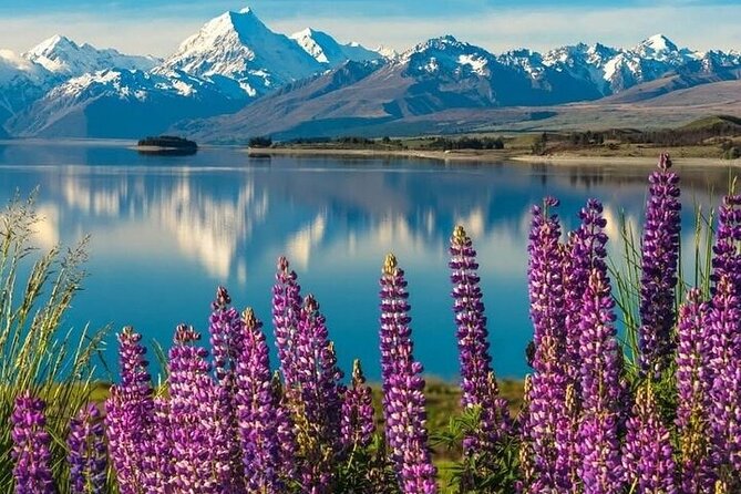 Queenstown to Christchurch One Way Tour Via Lake Tekapo & Mt Cook - Aoraki Mount Cook is the day’s main event