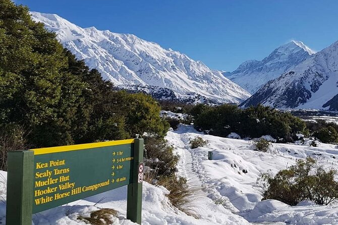 Queenstown to Christchurch One-Way Tour via Mt Cook & Lake Tekapo - A very short look at Lake Tekapo