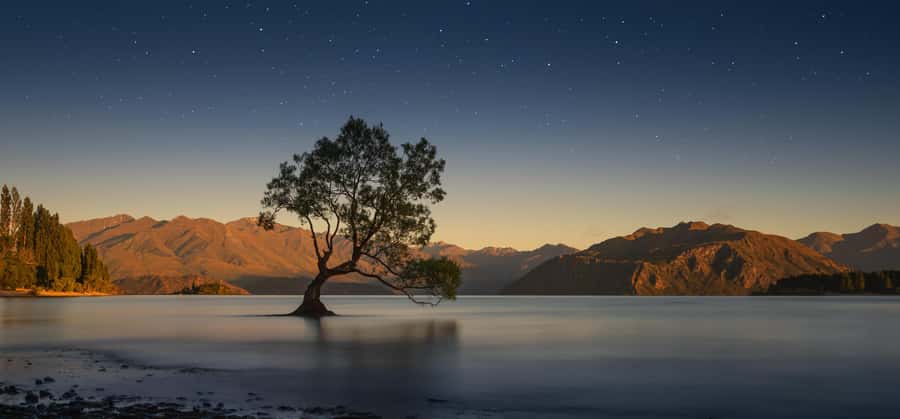 Queenstown to Franz Josef Tour via Wānaka (One-Way) - Why this Queenstown to Franz Josef route works so well