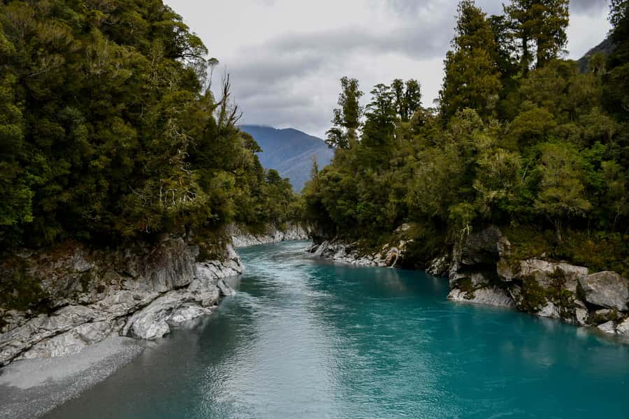 Queenstown to Franz Josef Tour via Wānaka (One-Way) - Ship Creek and the first taste of the West Coast