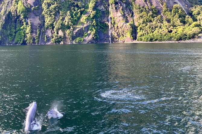 Queenstown to Te Anau via Milford Sound inc Cruise & Lunch - Mirror Lakes: a short walk with a weather warning