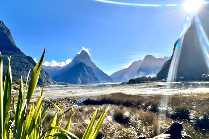 Queenstown to Te Anau via Milford Sound inc Cruise & Lunch - Through the Homer Tunnel to Milford Sound