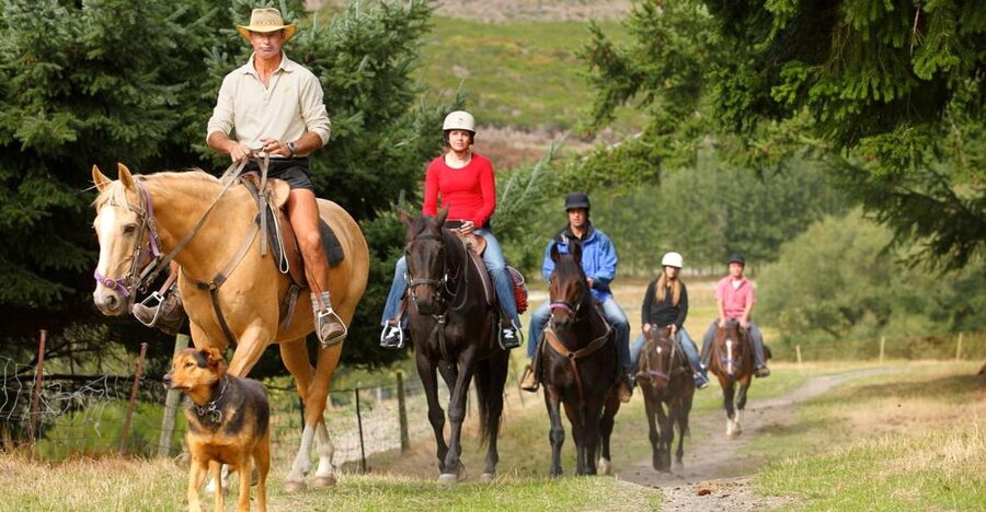 Queenstown: Walter Peak Horse Trek & Queenstown Lake Cruise - Crossing Lake Whakatipu by steamship or catamaran