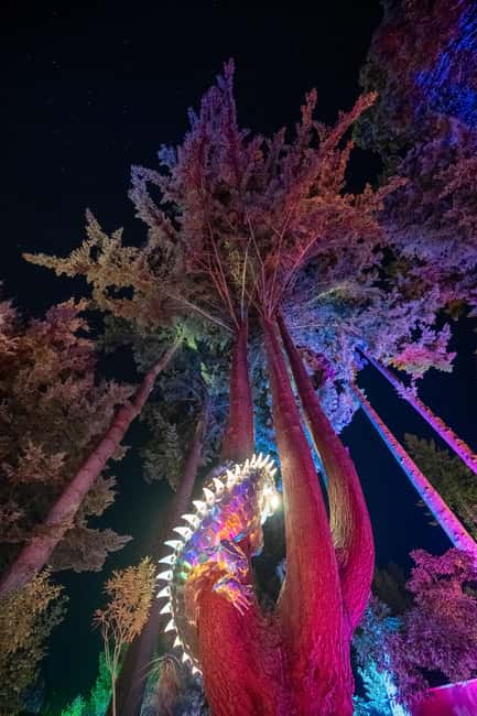 Queenstown: Whimsical Sensory Night Walk at LUMA Enchanted - Key points at a glance
