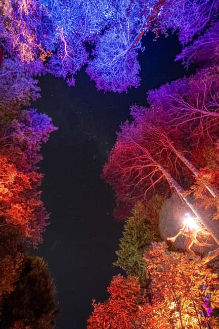 Queenstown: Whimsical Sensory Night Walk at LUMA Enchanted - Light, sound, and touch make it more than a light display