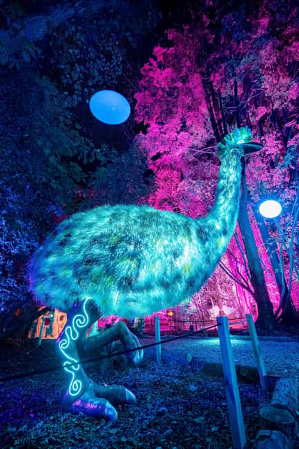 Queenstown: Whimsical Sensory Night Walk at LUMA Enchanted - How to plan your evening at Kiwi Park