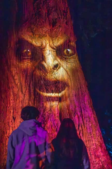 Queenstown: Whimsical Sensory Night Walk at LUMA Enchanted - Who will enjoy LUMA Enchanted most