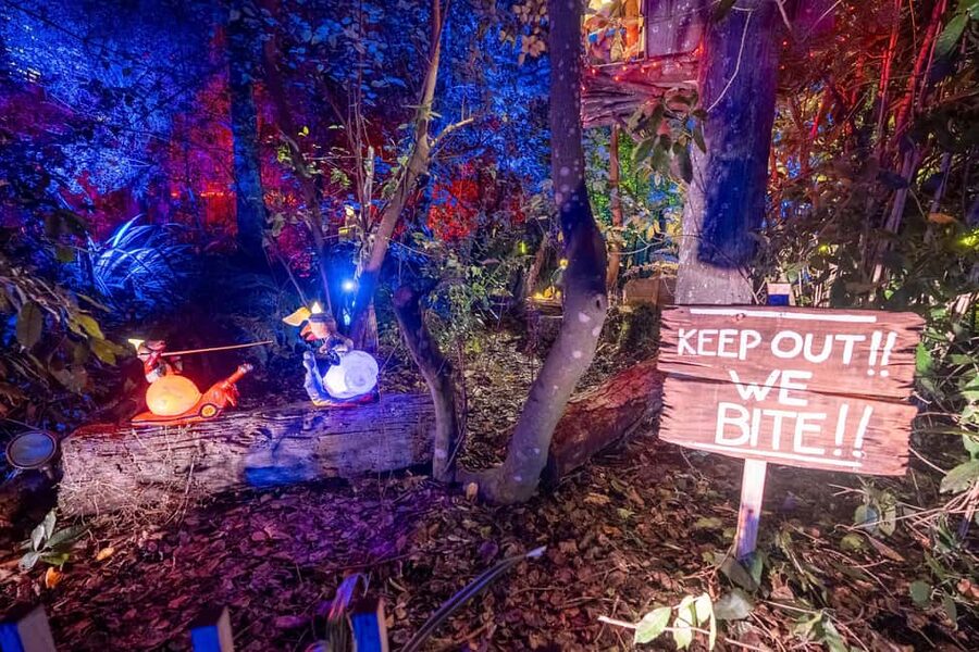 Queenstown: Whimsical Sensory Night Walk at LUMA Enchanted - What to bring and what not to expect