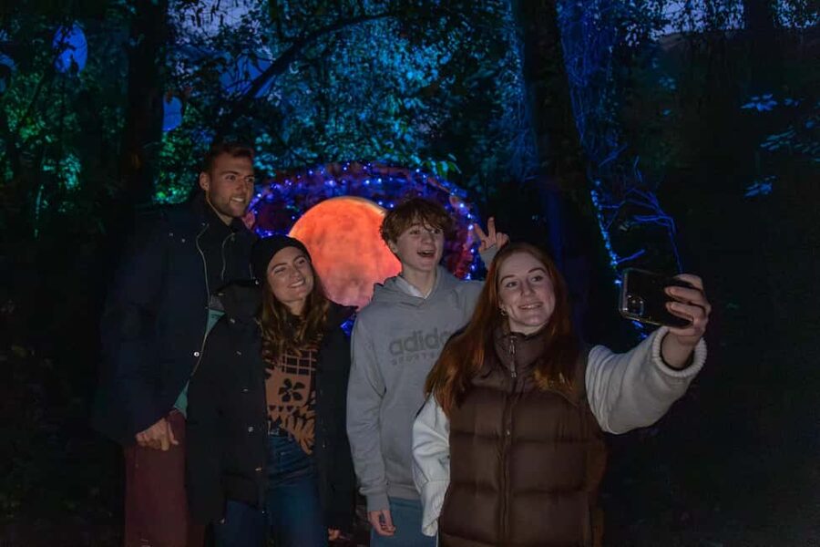 Queenstown: Whimsical Sensory Night Walk at LUMA Enchanted - Cancellation and booking flexibility